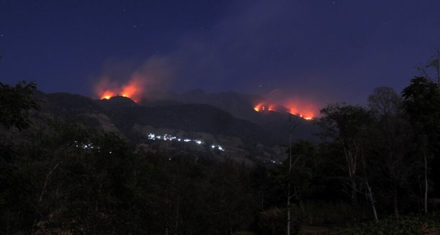 Hutan Gunung Merbabu Terbakar