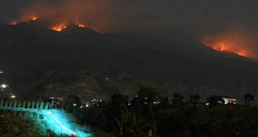 Hutan merbabu terbakar