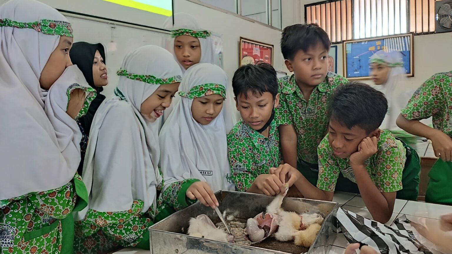 Murid Sd Muhammadiyah Pk Kottabarat Praktik Pengamatan Organ Tubuh Di