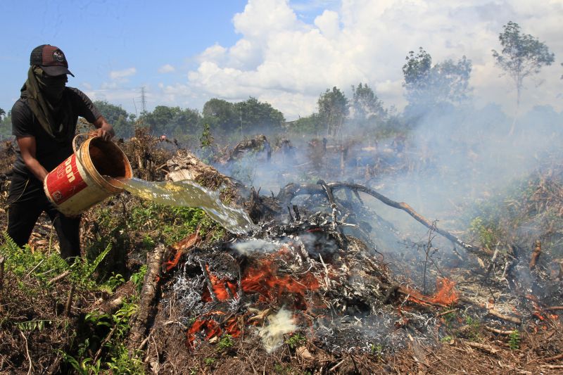 Seorang warga memadamkan api yang membakar lahan gambut dengan cara manual di Kawasan Desa Seuneubok, Aceh Barat, Aceh, Senin (7/1/2019). ANTARA FOTO/Syifa Yulinnas.