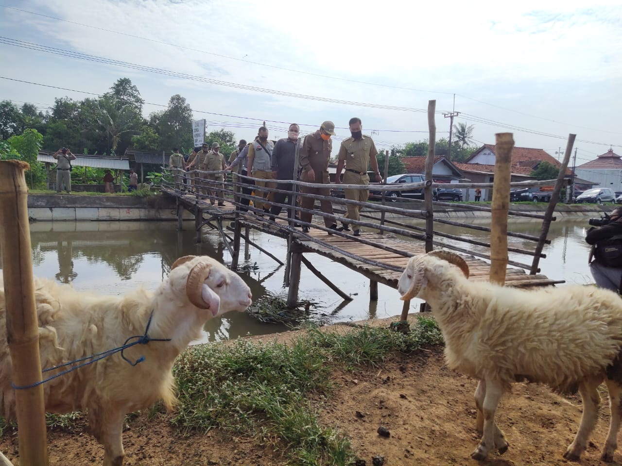 Taufik Hidayat Minta Masyarakat Kenali Hewan Kurban Yang “HAUS”