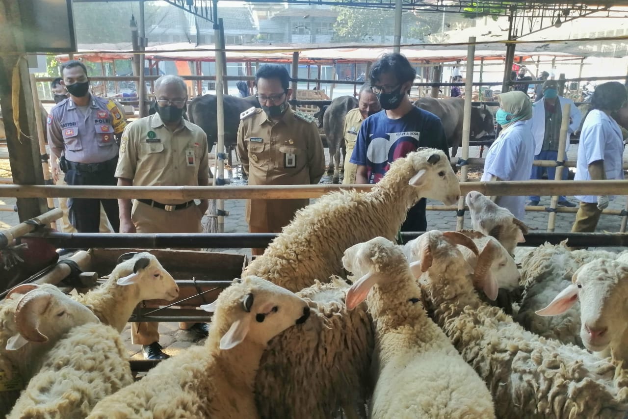 Wakil Walikota Yogyakarta Imbau Pedagang Hewan Kurban Terapkan Protokol Kesehatan