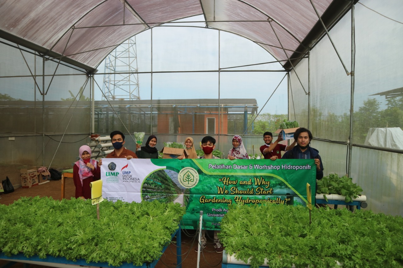 Inovasi Pertanian Moderen, UMP Tingkatkan Softskill Mahasiswa, Hingga Panen Sayuran Hidroponik