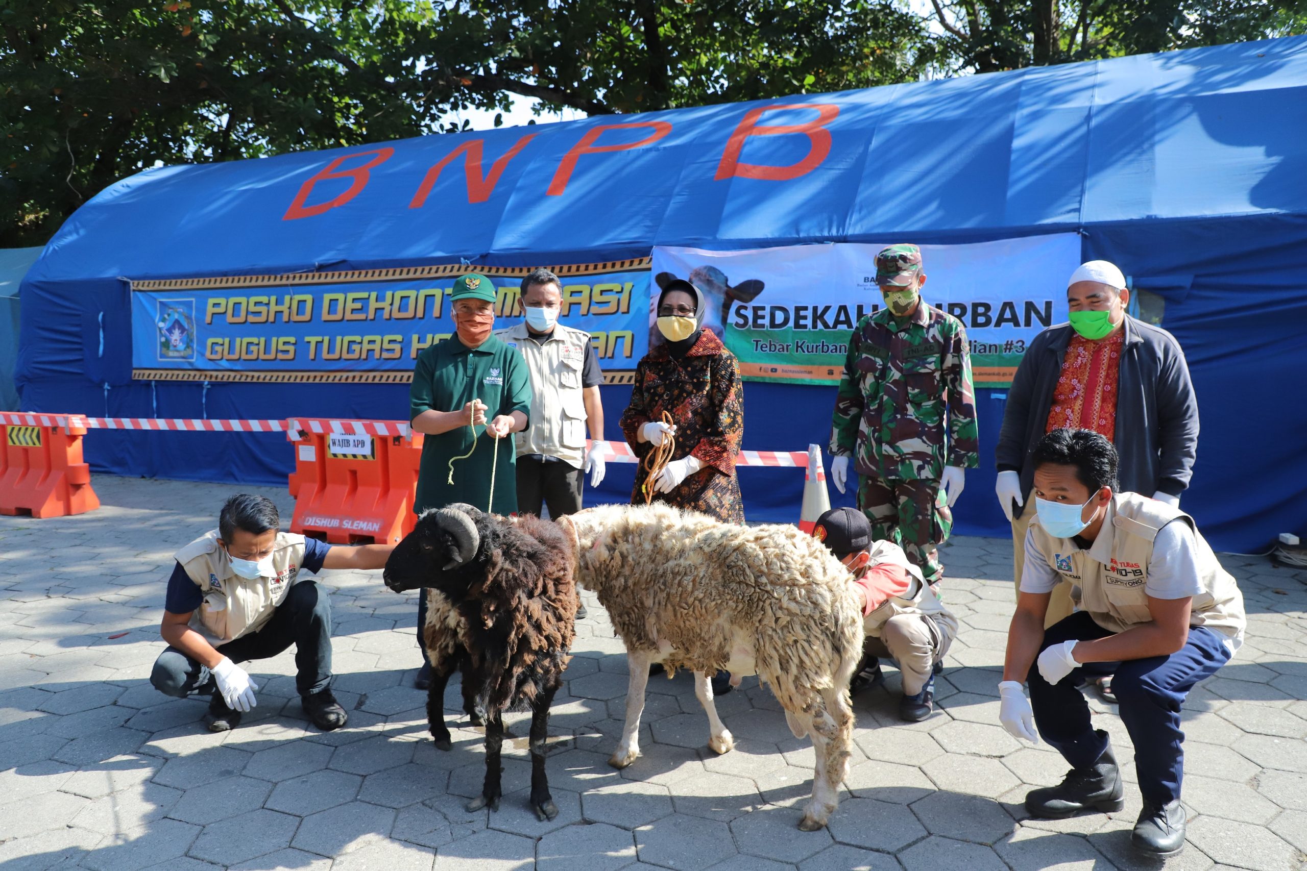 Wabup Sleman Salurkan Hewan Kurban di Daerah Pelosok