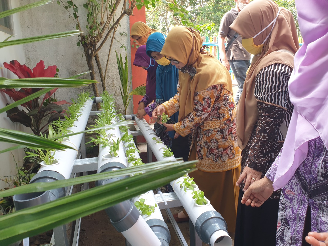 Pemanfaatan Lahan, Upaya Bertahan pada Masa Pandemi Covid-19