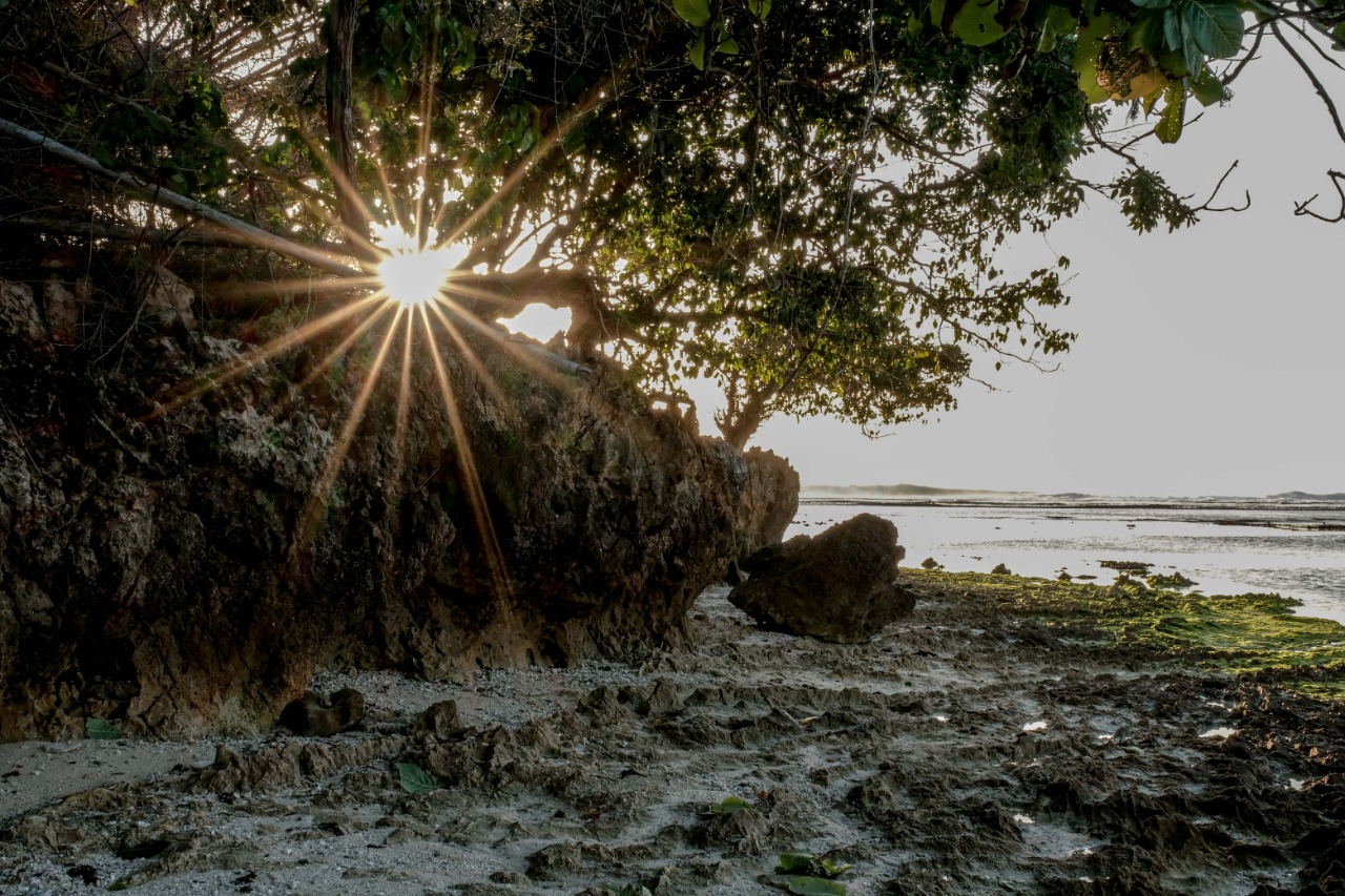 Banyuwangi Siap Terima Kembali Kunjungan Wisatawan