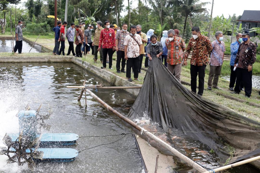 Sleman Kembangkan Mina Wisata “Sibudi Dikucir” di Garongan