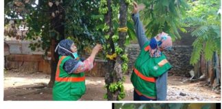 Berkebun Wujudkan Sodaqoh Ramah Lingkungan Berkesinambungan