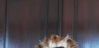 Siswi SD Muhammadiyah 1 Peringati Hari Kartini dengan Membuat Poster dan Kenakan Pakaian Adat