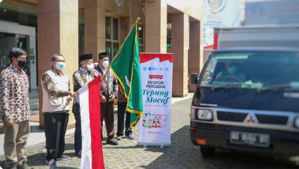 Muhammadiyah Ekspor Tepung Mocaf Ke Inggris, Yogyakarta, Kamis (8/4/2021).