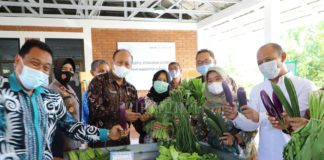 Bupati Sleman Resmikan Bangsal Titik Kumpul Sayur