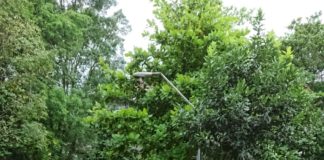 UMS Bagikan Takjil Buka Puasa Gratis dengan Sistem Drive Thru, Upaya Mematuhi Protokol Kesehatan