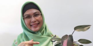 Putri Wapres Gagas Gerakan Indonesia Berhias Putri Wapres Gagas Gerakan Indonesia Berhias