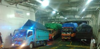 Begini, Aktivitas Bongkar Muat Kendaraan di Pelabuhan Patimban Jawa Barat Setelah Diresmikan Jokowi