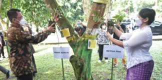 Edukasi Masyarakat, PKK Sleman Tanam Anggrek di Area Perkantoran