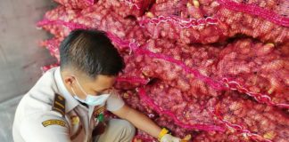 Kantongi Sertifikat Balai Karantina, 10 Ton Jahe asal Jabar Siap Ekspor ke Pakistan