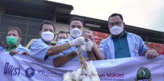 Kandang Ayam Modern, Implementasi Kampus Merdeka Vokasi dari IPB