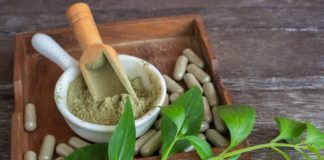 Khasiat Ekstrak Sambiloto bagi Sistem Imun dalam Melawan COVID-19