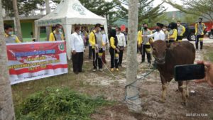 Pelindo III dan Kajari Pulang Pisau.menyerahkan hewan qurban kepada Muhammadiyah Pulang Pisau (doc.mpi)