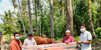 PT HBAP Sumsel 8 Salurkan Bantuan Hewan Kurban Untuk Masyarakat Sekitar