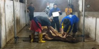 PPKM Level 4, SMP Muhammadiyah 1 Simpon Surakarta Berqurban di Rumah Pemotongan Hewan