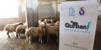 Adara Relief Kembali Hadirkan Program Qurban untuk Warga Palestina