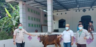 Apical Salurkan Hewan Kurban Sambil Gelar Edukasi Terkait Penggunaan Minyak Kelapa Sawit yang Aman