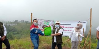 Pertamina Geothermal Energy (PGE) Area Karaha Bantu Pemulihan Lahan Kritis di Kabupaten Tasikmalaya, dengan Ribuan Bibit Pohon