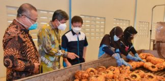 Hilirisasi Sektor Agro, Kemenperin Dukung Inovasi Produk Turunan Porang