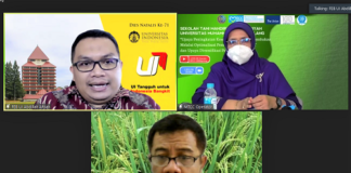 Padi Gogo, Alternatif Deversifikasi Usaha Petani Tembakau