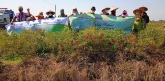 PDA Demak dan Jepara serta Lazismu Borong Cabai Petani