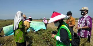 Harga Anjlok, PDA Jepara Borong Cabe Petani asal Banteng Mati Mijen Demak