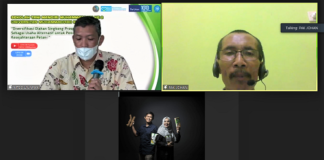 Mocaf dan Gula Singkong Tingkatkan Kesejahteraan Petani