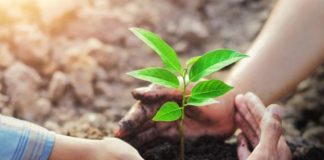 Bersahabat dengan Alam