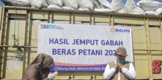 Hingga September 2021, BULOG Berhasil Serap 1 Juta Ton Beras Petani Lokal