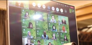 Hadiri APEC WEF 2021, Menteri Bintang Tegaskan Kebijakan Ekonomi Masa Pandemi Harus Responsif Gender