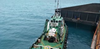 Strategi Perusahaan Angkutan Batu Bara Menghadapi Krisis Energi Dunia