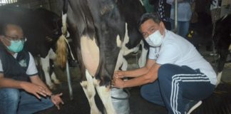 Program Kemitraan dan Digitalisasi Pacu Produktivitas Industri Olahan Susu