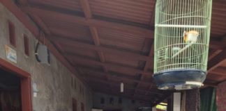 Sempurnakan Kamus Bahasa Lampung-Indonesia, Inventarisasi Kosakata Bahasa Lampung Dilanjutkan