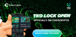 Duduk Manis Bisa Dapat Aset Kripto Gratis, Ini Caranya!