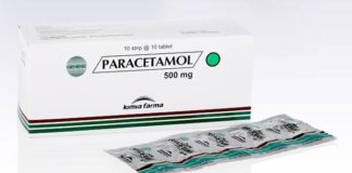 Teluk Jakarta Tercemar Parasetamol, Ini Dugaan Para Peneliti