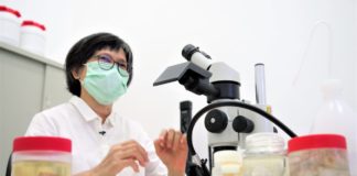 Tim Ekspedisi SJADES Temukan 27 Spesies Baru di Perairan Selat Sunda dan Barat Daya Jawa