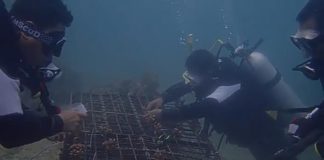 BRIN Lengkapi Fasilitas Balai Bio Industri Laut di Lombok