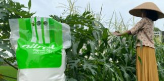 Menggenjot Kinerja Pupuk Domestik dengan SNI di Tengah Meroketnya Harga Pupuk Dunia