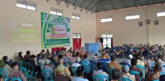 Menggali Potensi Pertanian Organik Desa Donokerto Sleman