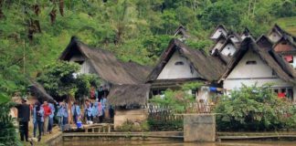 Indonesia is getting far away from Green Economy