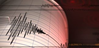 Gempa Magnitudo 7,5 Guncang Larantuka, BMKG Keluarkan Peringatan Dini Tsunami