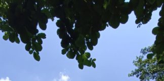 Keren! Tiga Keunggulan Kuliah S2 Magister Pendidikan Bahasa Inggris UMS