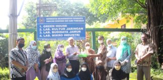 Pendampingan Pada Mitra Budidaya Jamur, Tim PKM UMS Terapkan Pengalaman Lapangan dan Uji Lab