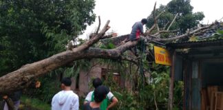 Curah Hujan Diprediksi di Atas Rata-Rata, Warga Yogyakarta Diimbau Waspada Antisipasi dampak Hujan angin sebagai dampak La Nina